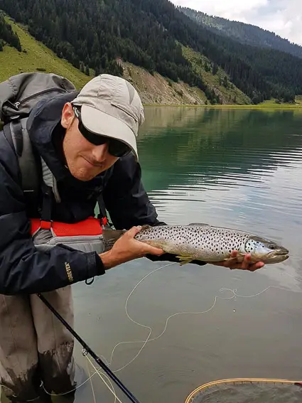 brown trout lake austria