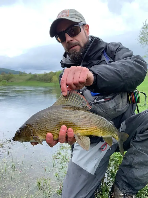 pesca mosca bosnia timalo