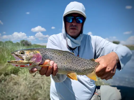 European angler on a hosted fly fishing trip in Wyoming