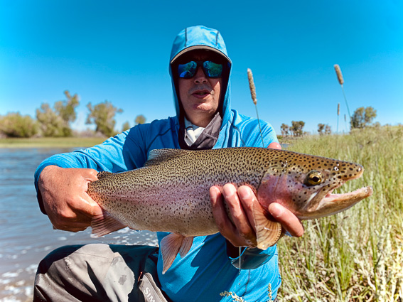 fly fishing wyoming rainbow