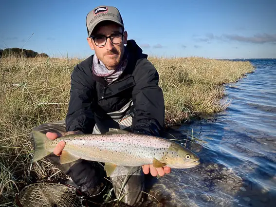 sea trout fishing denmark