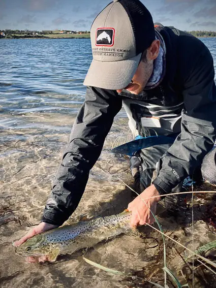 pesca mosca reo dinamarca