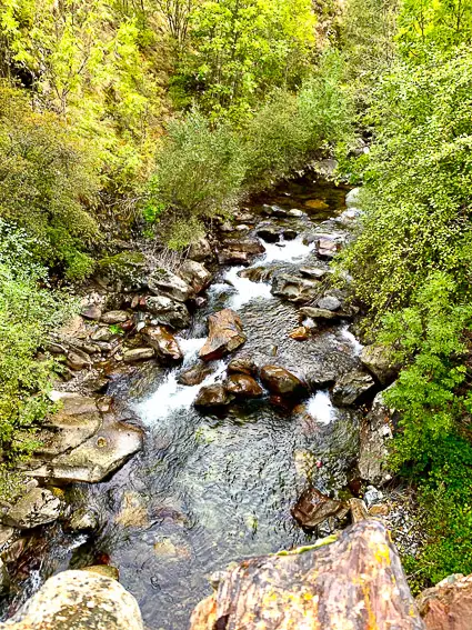 fly fishing spain trout barcelona