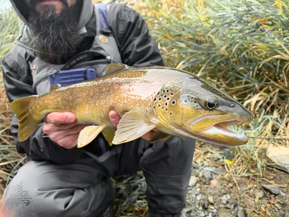 fly fishing spain trout barcelona