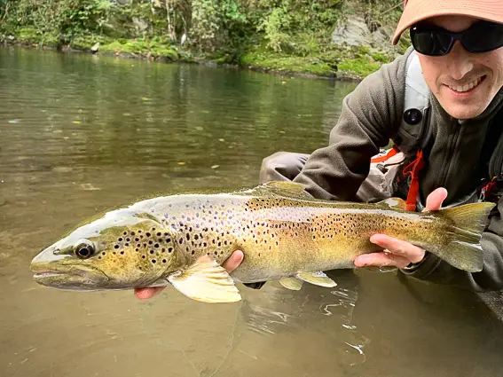 fly fishing spain trout barcelona
