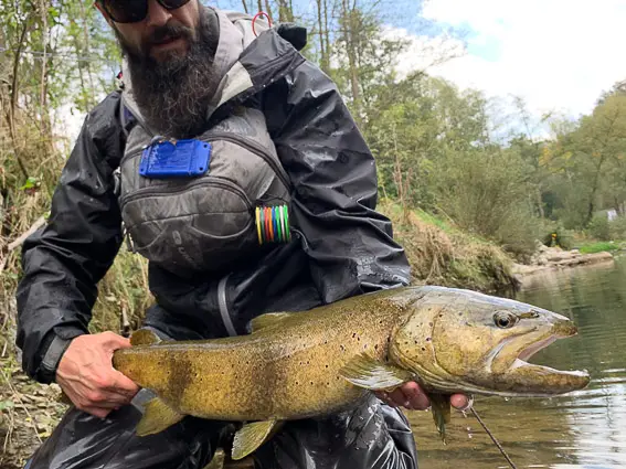 fly fishing spain trout barcelona