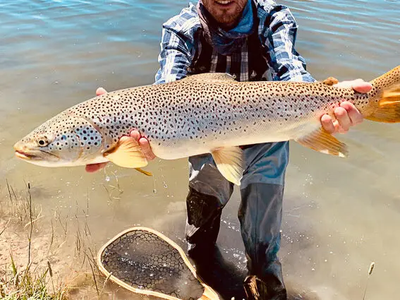pesca mosca trucha wyoming green