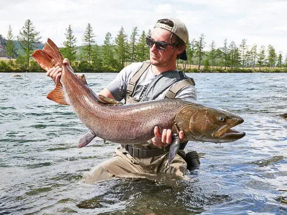 pesca mosca taimen mongolia