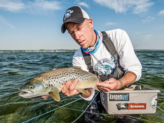 pesca mosca reo dinamarca