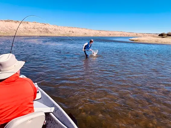 pesca con mosca wyoming
