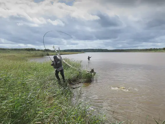 pesca mosca japon taimen fly fishing