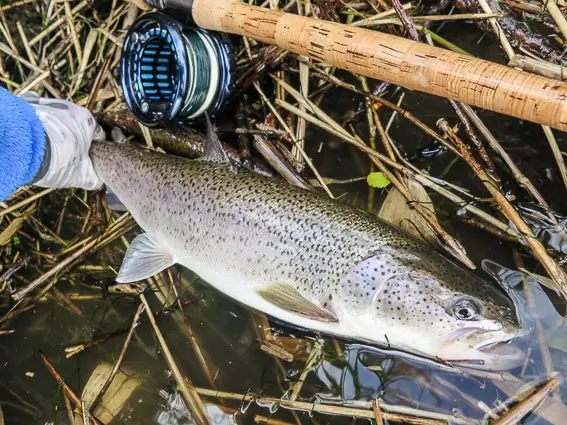 pesca mosca japon taimen fly fishing