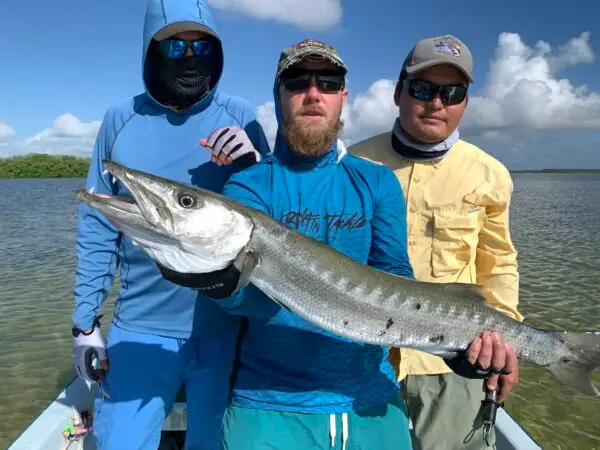 barracuda fishing mexico