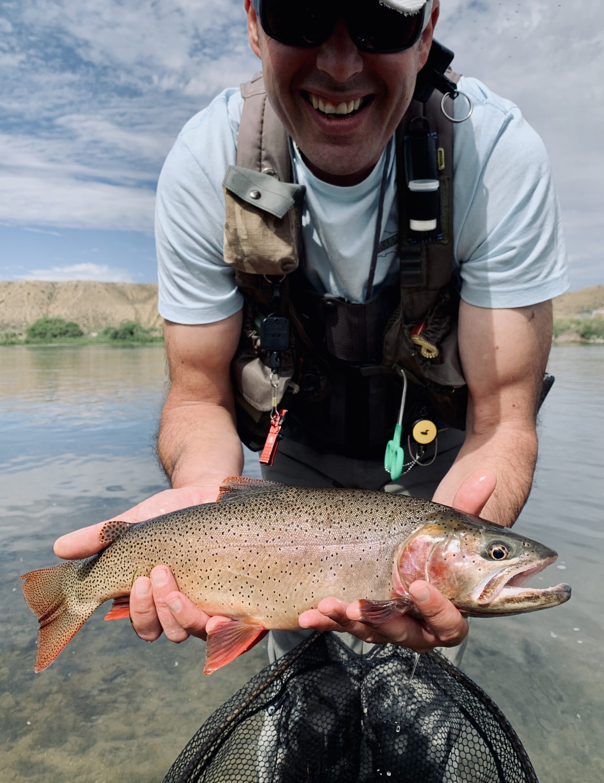 big cutthroat on dry fly green river