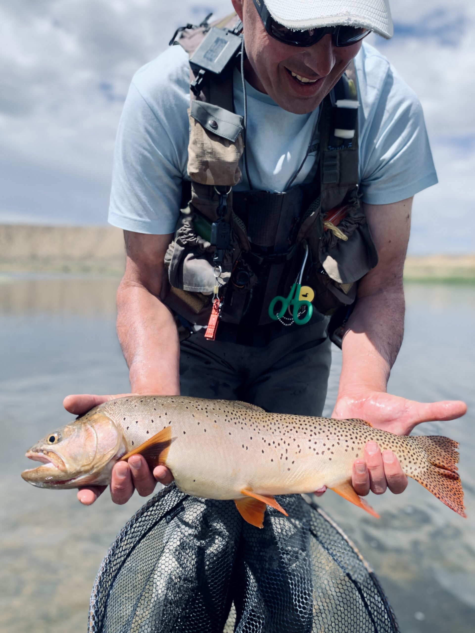 Big cutthroat green river on dry fly