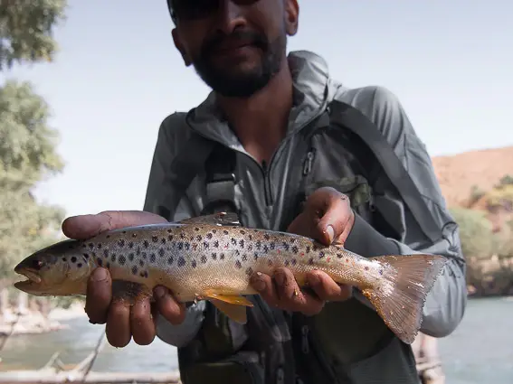 trout fishing in kyrgyzstan