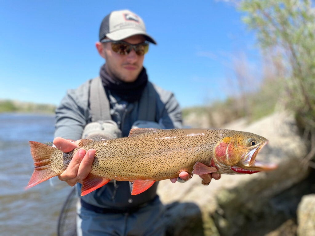 pesca con mosca trucha cutthroat