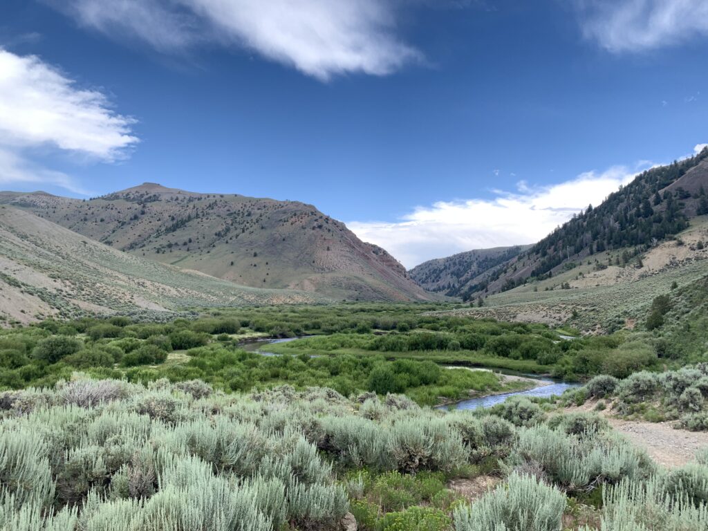 pesca en estados unidos wyoming