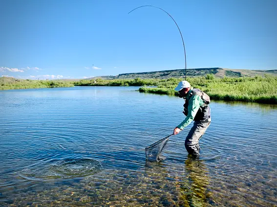 Pesca con Mosca en Estados Unidos