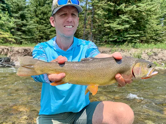 Trucha cutthroat Estados Unidos