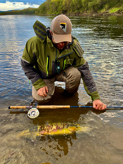 salmon fishing in japan