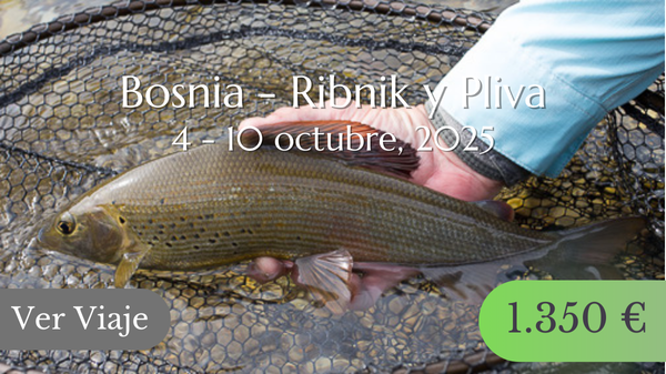 viaje pesca mosca bosnia