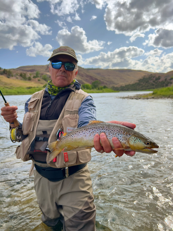 fly fishing brown trout green river