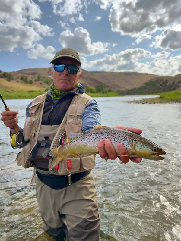 fly fishing brown trout green river