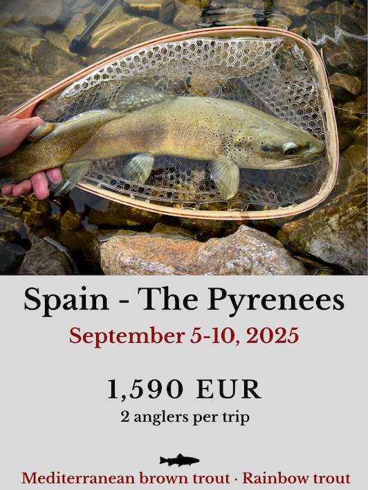 fly fishing trip spain