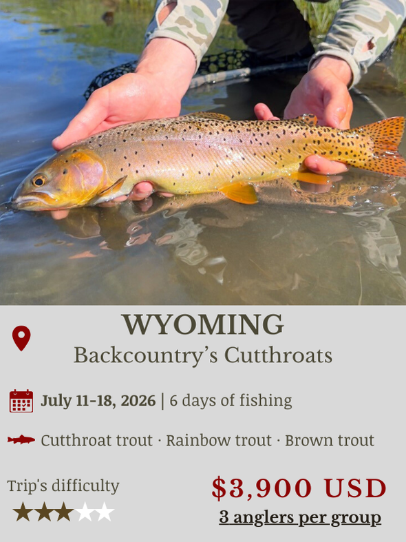 Fly Fishing Trip Wyoming Cutthroats