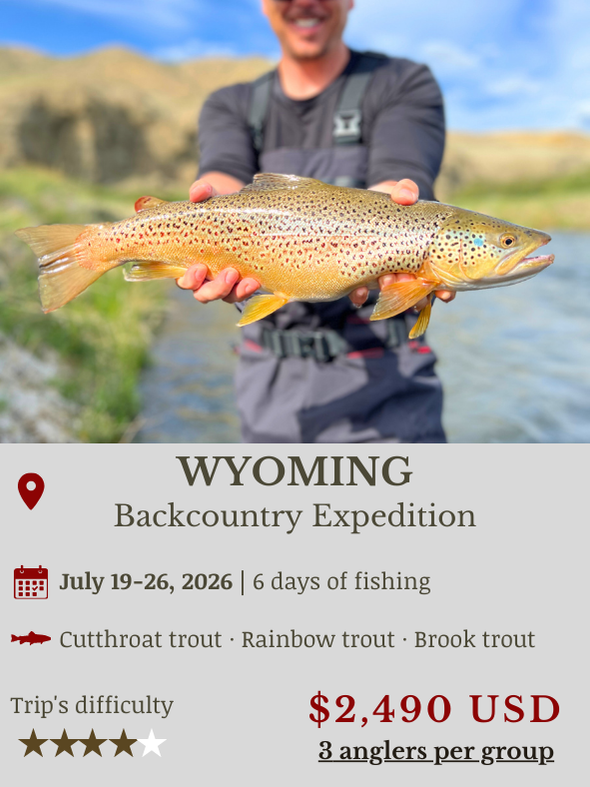 Fly Fishing Expedition in United States Wyoming
