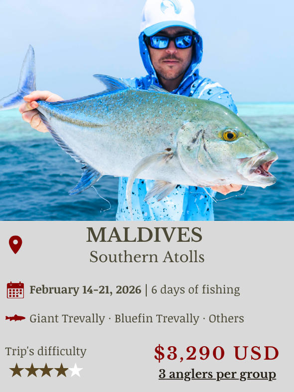 Fly Fishing Trip Maldives GT