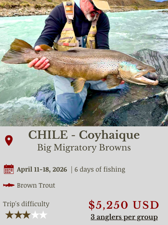 Fly Fishing Trip Chile Migratory Browns