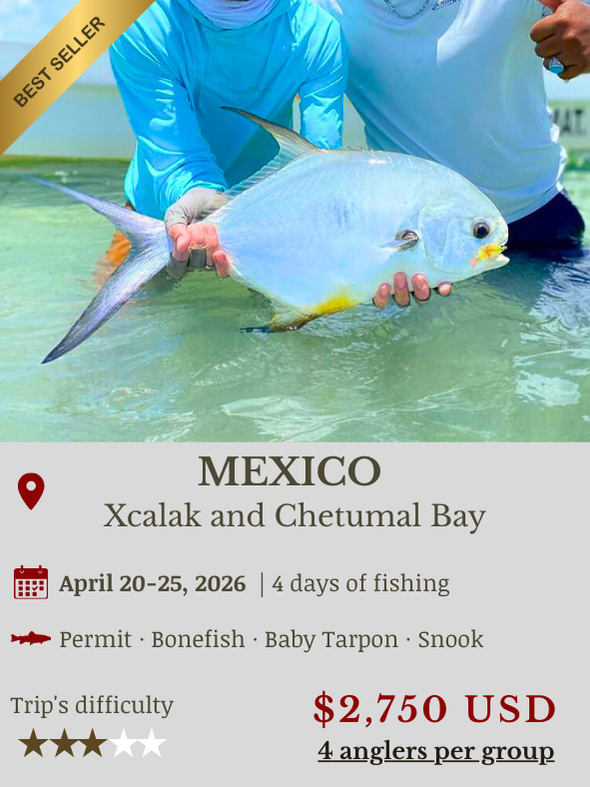 Fly Fishing Trip Mexico Grand Slam