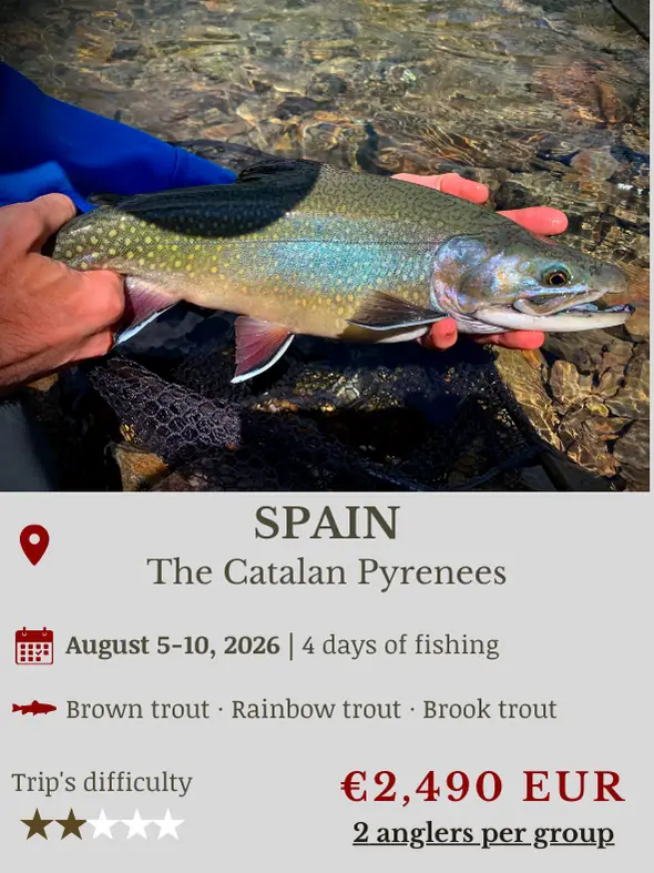 Fly Fishing Trip Spain
