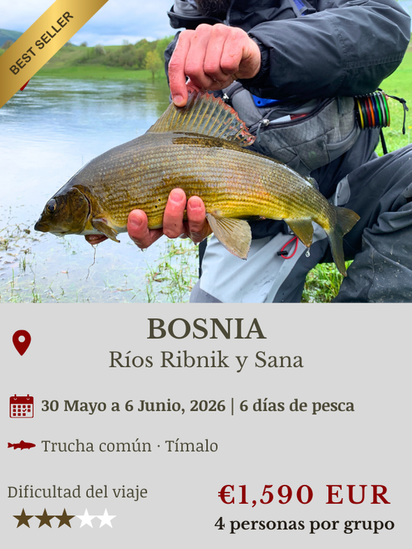 Viaje de Pesca con Mosca a Bosnia