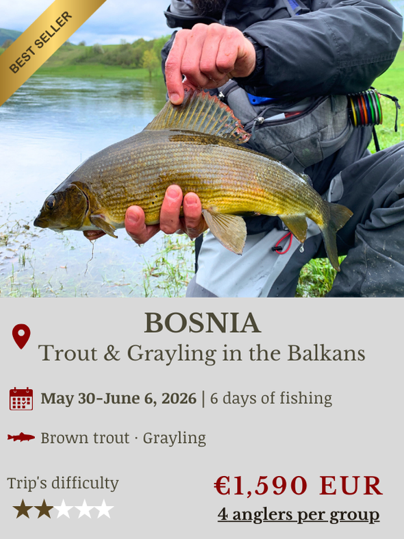 Fly Fishing Trip Bosnia Ribnik river