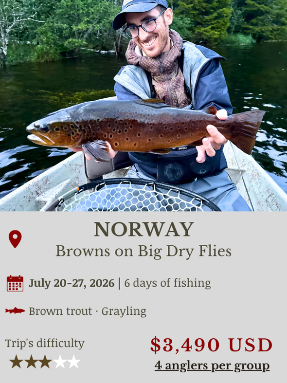 Fly Fishing Trip Norway Rena river