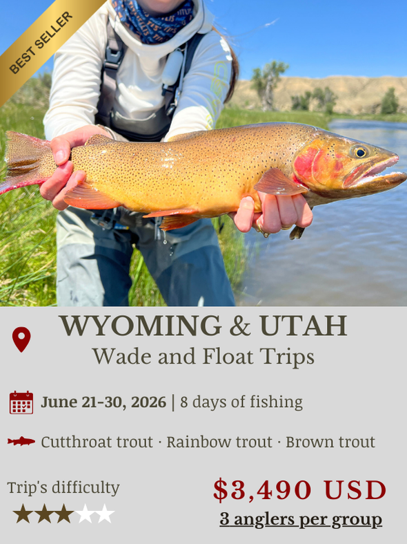 Fly Fishing Trip Wyoming and Utah