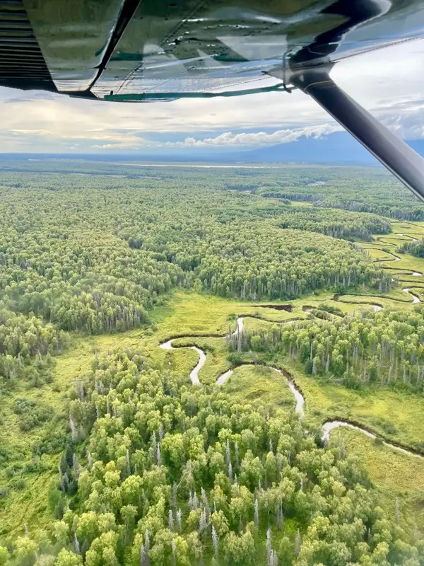 Seaplane Fly Fishing Alaska