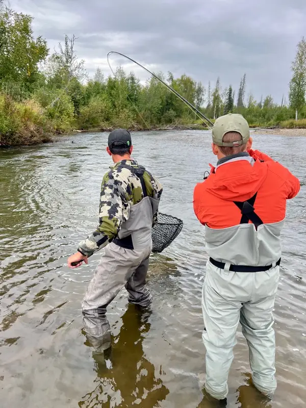 Silver Salmon Fly Fishing in Alaska