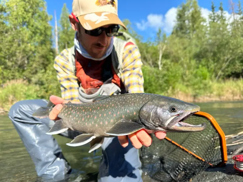 dolly varden fly fishing in Alaska