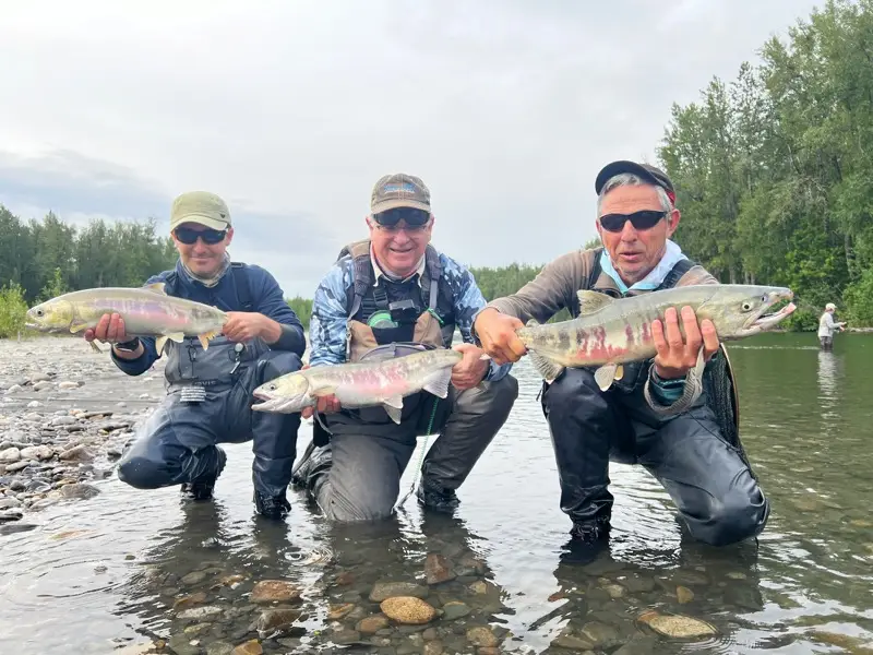 Chum Salmon Fly Fishing in Alaska