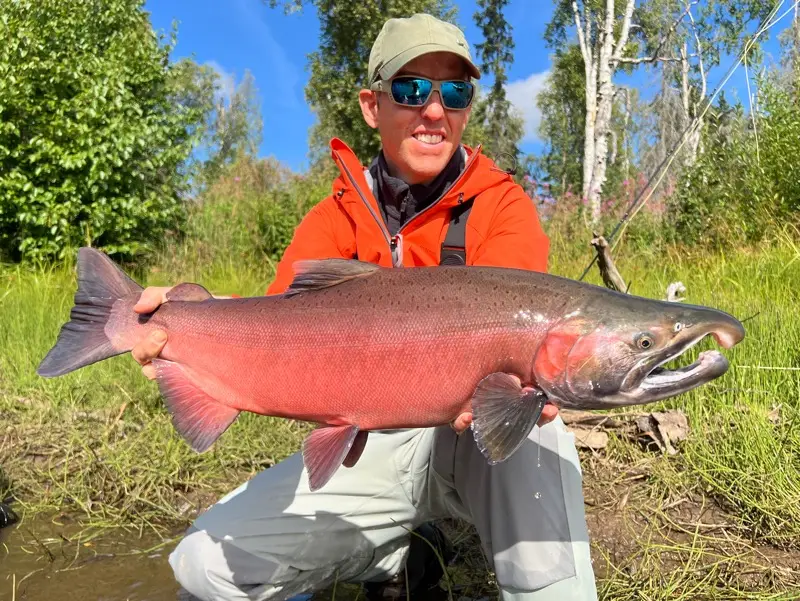 silver salmon alaska on the fly