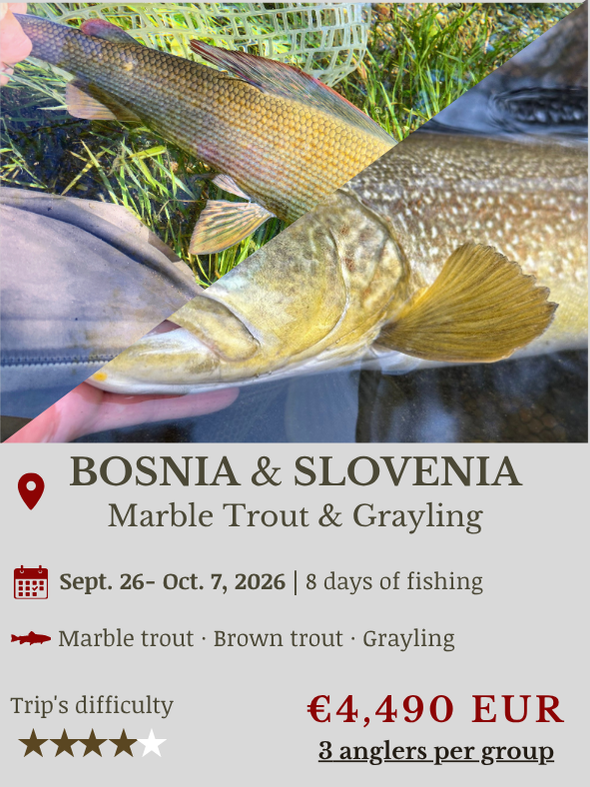 All Included Fly Fishing Trip in Europe