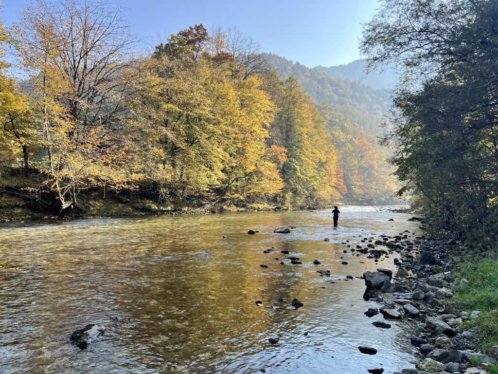 idrija river fly fishing