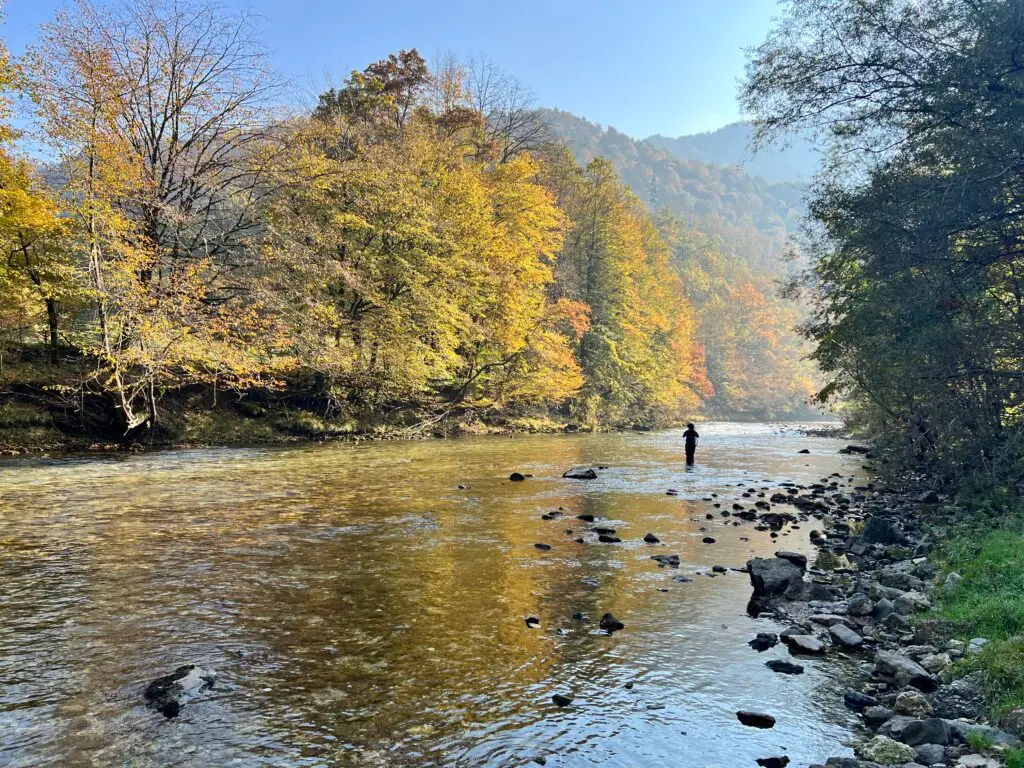 idrija river fly fishing