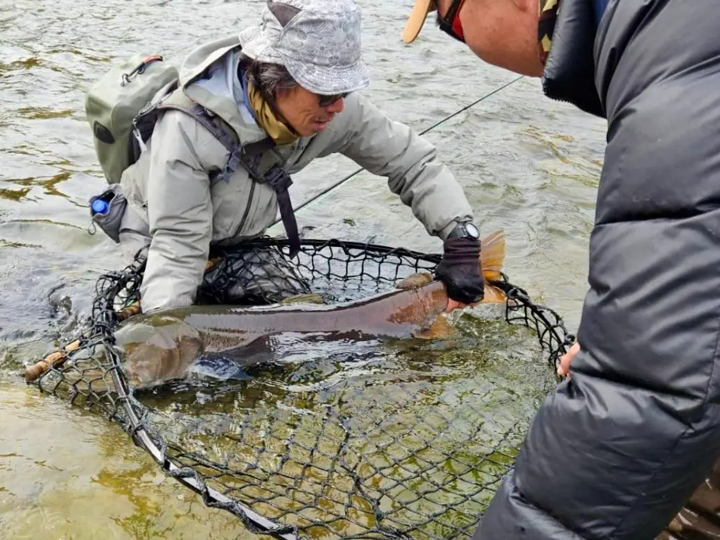 fly fishing taimen Shishged river Mongolia