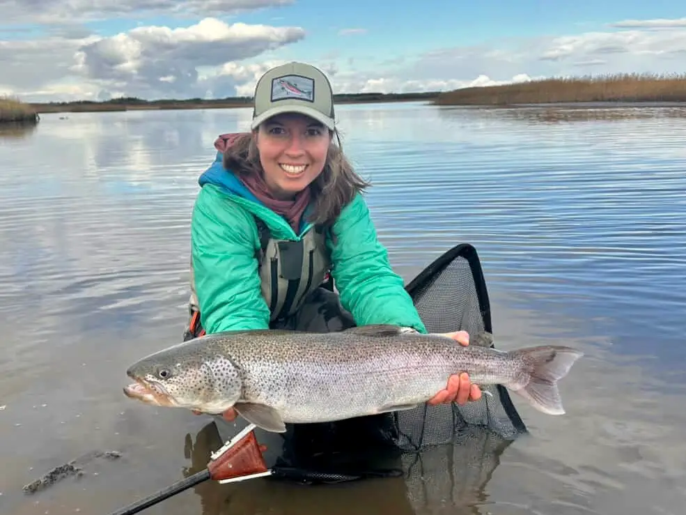 fly fishing taimen in japan