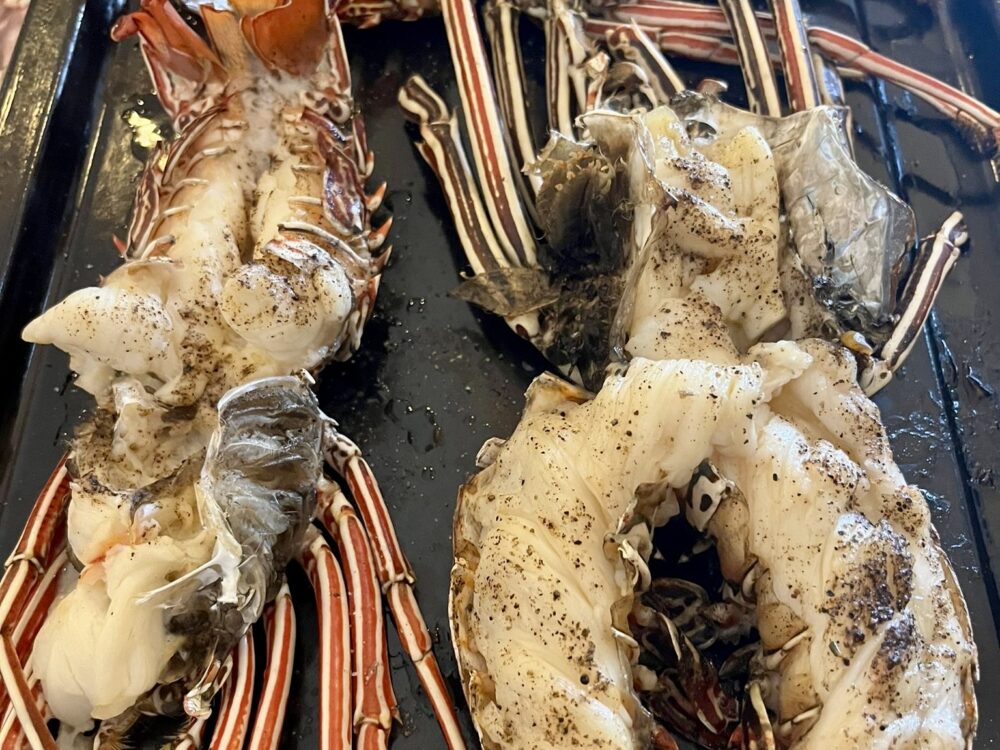 fly fishing trip maldives